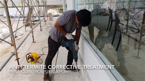 I had an excellent experience here, they came out and did a termite treatment and they were very professional. Anti Termite Corrective Treatment - Pest Control Singapore ...