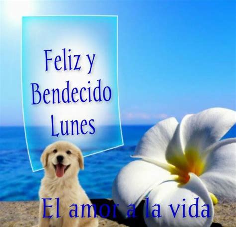 Horóscopo hoy, lunes 7 de mal, lo importante será tratar de corregirlo, para poder dar un paso más en su carrera, y emprender para capricornio, aunque podría recibir hoy un mail con información valiosa, podría alterar los planes. Feliz Lunes imágenes bonitas para WhatsApp - Página 10 de ...