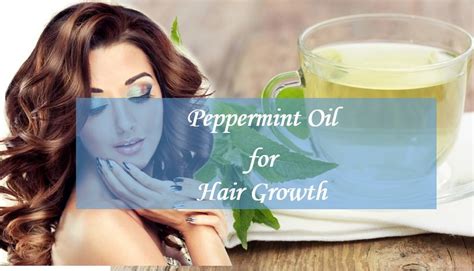 Applying peppermint oil without dilution could well irritate your hair and scalp, so you must always mix it with a carrier oil before application. Peppermint Oil (PEO) for Hair Growth: What You Need To Know