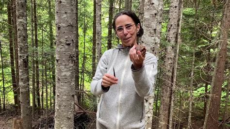 No, i'm not a book or board game, but i will work just the same. Whistler Naturalists: Seed Cone Scavenger Hunt - Part 2 ...