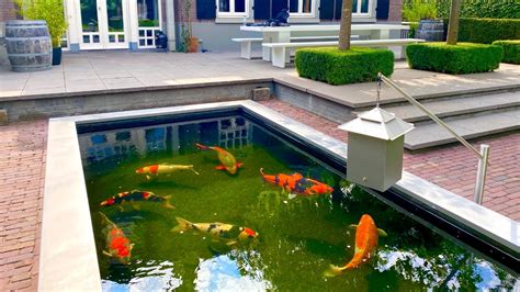 My pond is 12 feet deep center and about 80 by 110 feet i will send you a few photos. JUMBO KOI! 8000 & 7000 Gallon ponds | Valuable collection ...