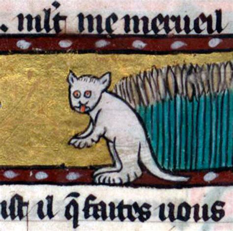 Check out Ugly Medieval Paintings of Cats, it looks like ...