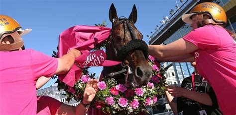 Kuka vie elitloppetin vuosimallia 2021? Elitloppet 2021 | 28-30 Maj | Solvalla Travbana