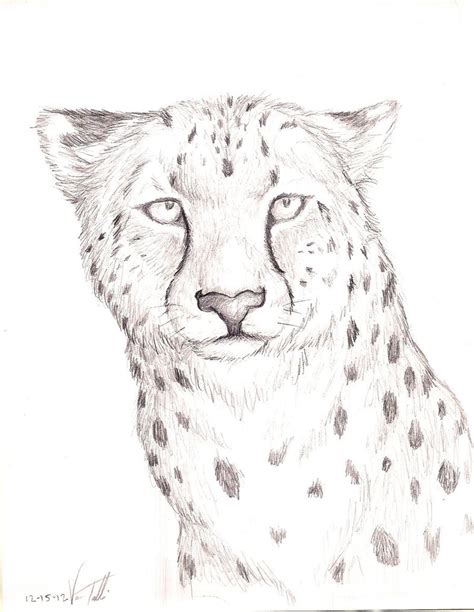 How to draw cartoon cheetahs with easy step by step drawing instructions. Cheetah Drawing Easy at PaintingValley.com | Explore collection of Cheetah Drawing Easy