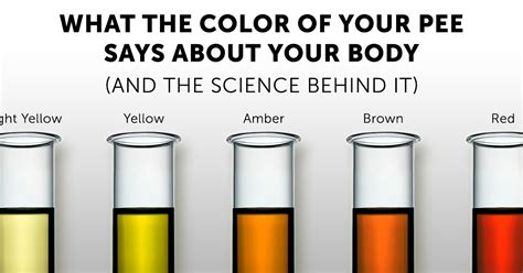 How can you keep your urinary tract healthy? What The Color Of Your Pee Says About Your Body And The ...