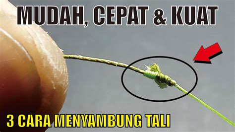 Text of cara ikat tali pancing. Terbaik! 3 Cara menyambung tali pancing dgn cepat dan kuat ...