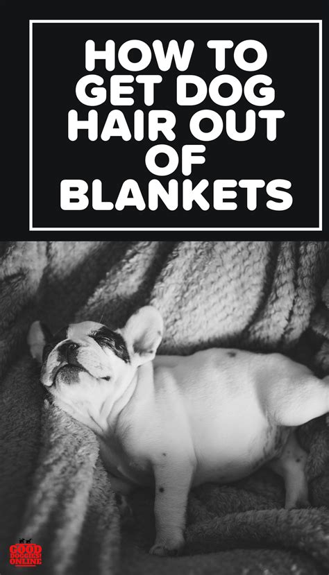 Formulated with 3x the pet hair & lint fighters compared to standard bounce dryer sheets. How to Get Dog Hair off A Blanket? - Good Doggies Online ...