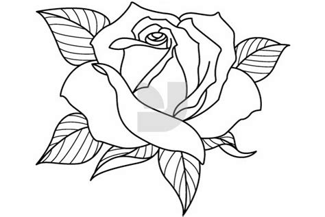 You'll get 5 high resolution (300 dpi. Rose Drawing Flowers