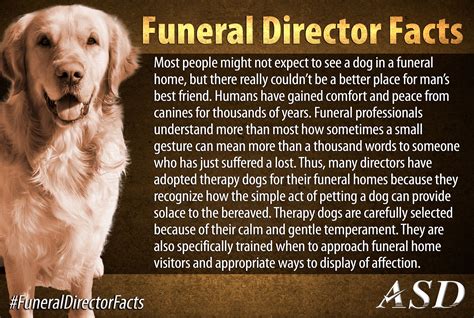 Funeral directors are typically educated at an undergraduate college and a mortuary college. 30 Little-Known Facts About Funeral Directors