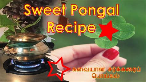 Sakarai pongal (sweet pongal) recipe. Sweet Pongal | 🍯🍯 |சர்க்கரைப் பொங்கல்| Pongal Recipe in ...