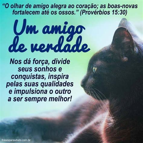 Eu fiz um pedido aos ceus,que seja ainda,o que foi,mas,que ainda não foi,porque eu não quero que vá.em um minuto,cresci uma semana.e eu não. Versículo de Amizade - Frases para Whats