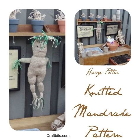 See a recent post on tumblr from @mybrotherisacursedvault about mandrakes. Harry Potter Knitted Mandrake Pattern | Harry potter knit ...