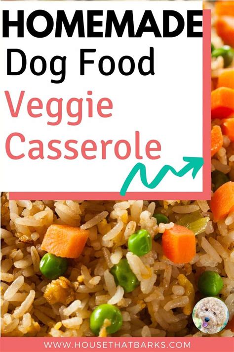 Putting your dog on a vegan diet? Easy to make dog protein and veggie recipe #homemade dog ...