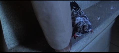 Junta Juleil's Culture Shock: Film Review: CAT'S EYE (1985 ...