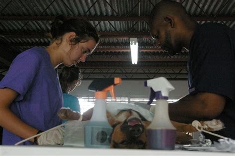 A local, family practice in the heart of seattle. Pin by C.E.L.A Belize on Ladyville Animal Clinic 2015 ...