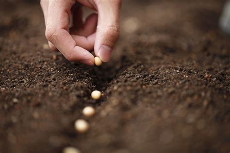 Gärtnern nach dem mond mit dem orginal biplantol mondkalender nach astronomischen konstellationen. Mondkalender garten sämereien Mondzyklus Gartenjahr und ...