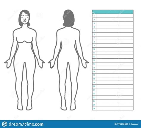 The following human organ diagram shows you the front and back view of the human body diagram. Woman Body Measurement. Scheme Of Measurement Human Body Front And Back. Table For Entries And ...