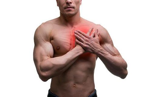 Muscles stretch across joints to link one bone with another together the skeletal and muscular system allow your body to move. Signs of a Pulled Chest Muscle | Chest muscles, Muscle ...