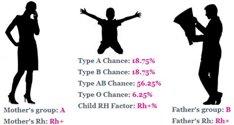 Simply fill in the required fields of the blood type calculator by selecting the blood type of the. 5 Free Online Baby Blood Type Calculator to Predict Blood ...