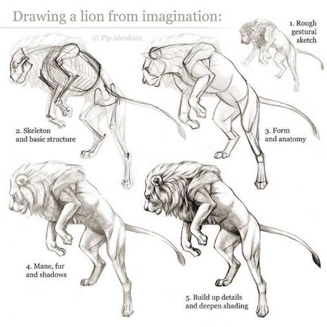 What to draw and how to draw it by lutz, edwin george, b. 1001+ ideas And Inspiration On How To Draw Animals