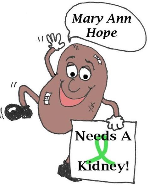 Another way to donate a kidney while you are alive is to give a kidney to someone you do not necessarily know. MARY ANN HOPE needs a KIDNEY DONOR: FAQ'S ABOUT DONATING A ...