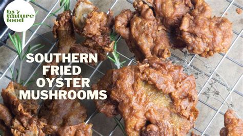 Which is oyster mushroom best for growing indoors? How to Make Southern Fried Oyster Mushrooms | Vegan Fried ...