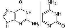 Jadi yang mengandung protein yang mengandung cincin benzena adalah putih telur dan ikan. Hidrokarbon Aromatik: Pengertian, contoh dan kegunaan ...