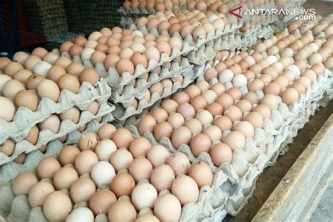 Kita memerlukan telur ayam untuk membuat kue atau memasak namun, pernahkah terpikir dalam benak anda untuk mengkonsumsi telur mentah? Harga telur ayam ras dan ikan segar turun - ANTARA News ...