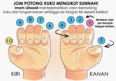 Memotong atau memendekkan kuku ialah membuang hujung kuku sama ada kuku tangan atau kaki sehingga rapat pada kulit di bawah kuku serta mencucinya. √ Cara Potong Kuku Ikut Sunnah Nabi Muhammad S.W.T ...