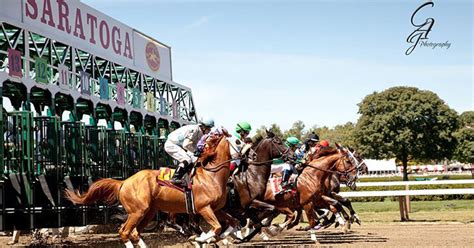 This article is a guideline from beginner level to expert level who are enthusiastic about horse racing. And They're Off! Get Ready for Opening Day, the Hat ...