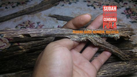 Jenis jenis multimedia dapat dibedakan menjadi dua, namun secara umum jenis jenis multimedia ada banyak macamnya, berikut fungsi dan contohnya. Agarwood For Life: Introduction of Gaharu