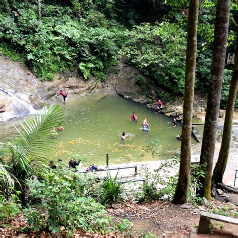 The visitors can walk up the concrete paths to reach different levels situated at different elevations. Kanching waterfalls- enjoy the serenity of the seven ...