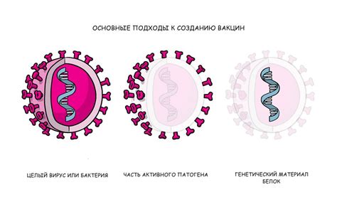 Maybe you would like to learn more about one of these? Вакцинация от Covid-19: все, что нужно знать про вакцины ...