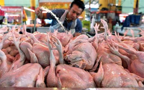 Ucapan pengarah kpdnhep negeri selangor dan. Harga ayam turun di hari raya jadi bualan pengguna ...