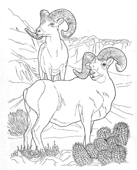 See more ideas about adult coloring pages, adult coloring, coloring pages. Wildlife Coloring Pages at GetColorings.com | Free ...