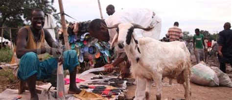 Generally, the islamic calendar consists of two eid. Hope for Nigeria Eid-el-Kabir: Nigerian Government ...