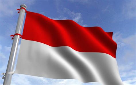 Bendera ini bercorak 14 garis (jalur) merah dan putih (melintang) yang sama lebar, bermula dengan garis merah di sebelah atas dan berakhir dengan jalur putih yang melambangkan jumlah anggota. Gambar Bendera Berkibar Merah Putih - AR Production