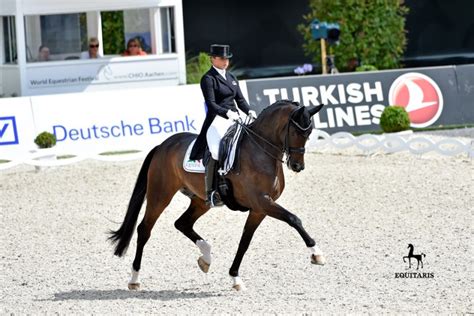 Dorothee schneider had chosen the perfect track for her gelding showtime frh at the olympic games 2016 in rio. Schneider stuurt First Romance naar dik 77% in Inter-II ...