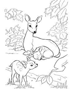 These free coloring pages make a great addition to thematic units on farm animals, pets, geometric shapes, seasons, flowers, fruits and. 420 Coloring 16-Intermediate ideas in 2021 | coloring pages, coloring books, colouring pages