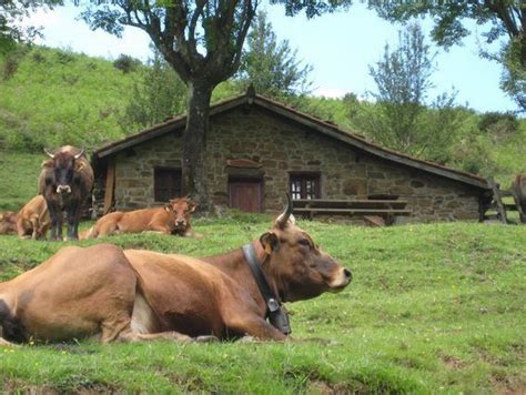 Cercedilla, plaza mayor de chinchón, manzanares del real, miraflores de la sierra. Casas rurales baratas| entre 10 y 20 € persona/noche ...