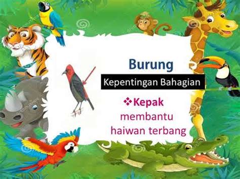 Pusat perubatan nuklear dan radioterapi ; KEPENTINGAN BAHAGIAN HAIWAN (SAINS TAHUN 1) - YouTube