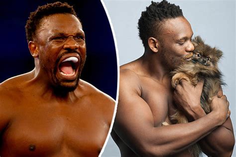 Chisora faces parker on a blockbuster bill, live on sky sports box office, with katie taylor also defending her undisputed world lightweight titles against natasha jonas in manchester. Derek Chisora: Millionaire denies claims alsatians mauled boxer's dog | Daily Star