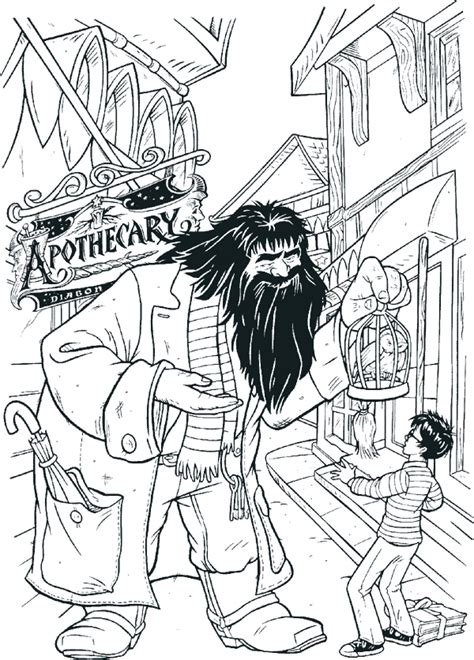 Discover these fun and simple coloring pages inspired by harry potter. Kleurplaten nl: Kleurplaat Harry Potter Hedwig