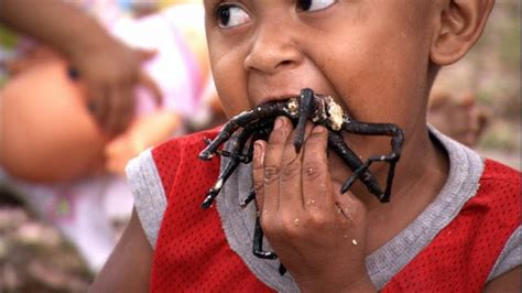 Photos of spiders eating things at least 5 times their size! 10 Of The Weirdest Animals That People Eat