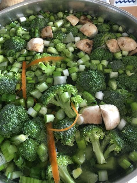 Can my cat eat onions or garlic? ~Veggie soup~ 1 head broccoli 3 shaved carrots 5 diced ...