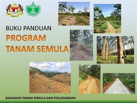 20 jenis tanaman hias dalam ruangan, tak perlu sinar matahari. Portal Rasmi RISDA - Tanam Semula