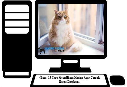 Makanan kucing persia agar gemuk. √Baca! 13 Cara Memelihara Kucing Agar Gemuk Harus Dipahami