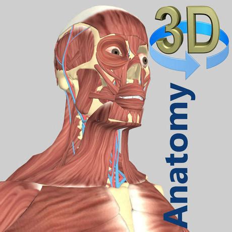 And all the anatomical atlases give a small idea of what's inside. Tải 3D Anatomy miễn phí cho iOS - iOS CodeVN