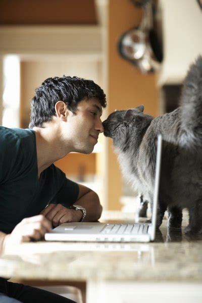 Why Do Cats Rub Against Things? - Pets