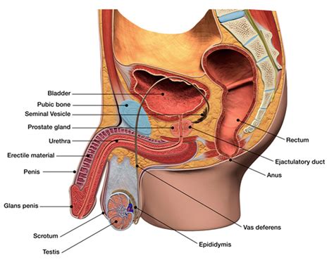 Psri has a very experienced urology department. Best Urologist in Orange County